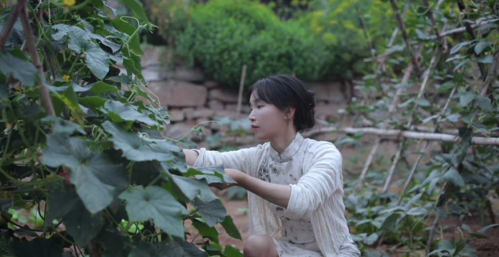 停更十个月后，谁在瓜分李子柒？