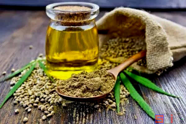 Sbike動植物百科：我國傳統文化中俗稱的五谷雜糧，是哪些作物？