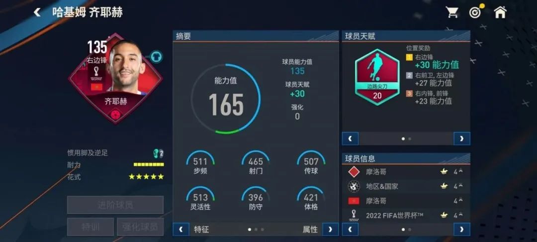 fifa足球世界馬內好不好（FIFA足球世界 - 榮光在肩-世界杯上的非洲牌面們）