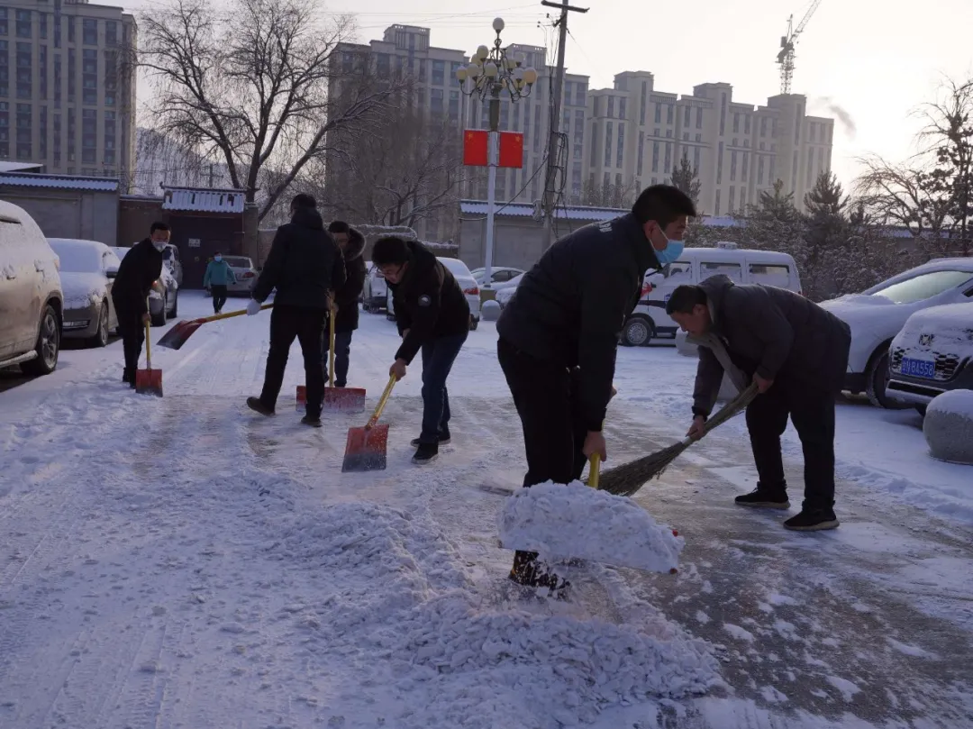 临潭：干部群众齐上阵 清扫积雪暖民心