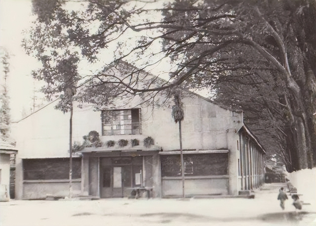 老贫农贪便宜娶二婚女大学生，家务全不会，8年后才知身份不简单