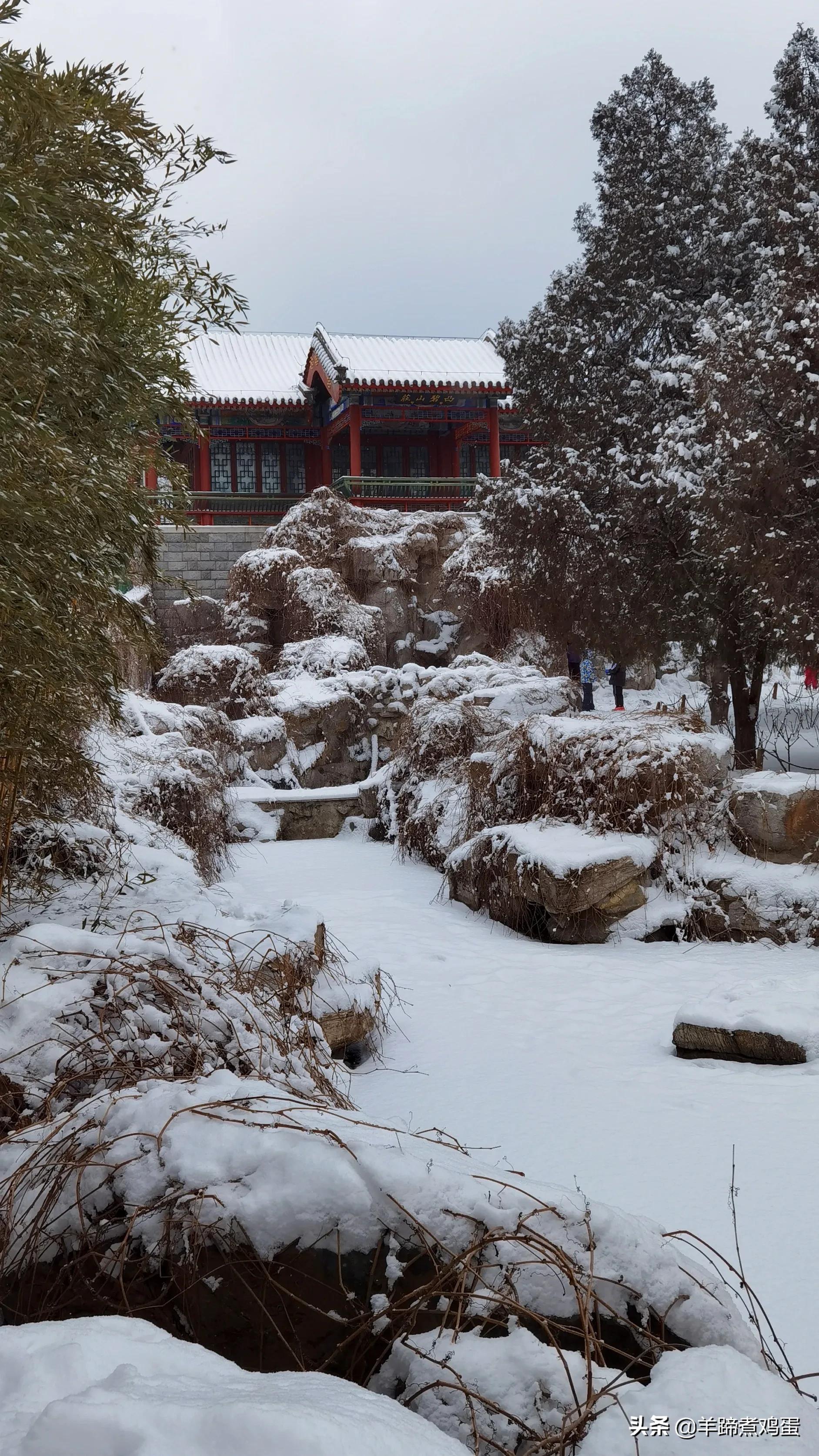 难览观园全画景雪覆腊梅一隅香——踏雪寻游北京大观园