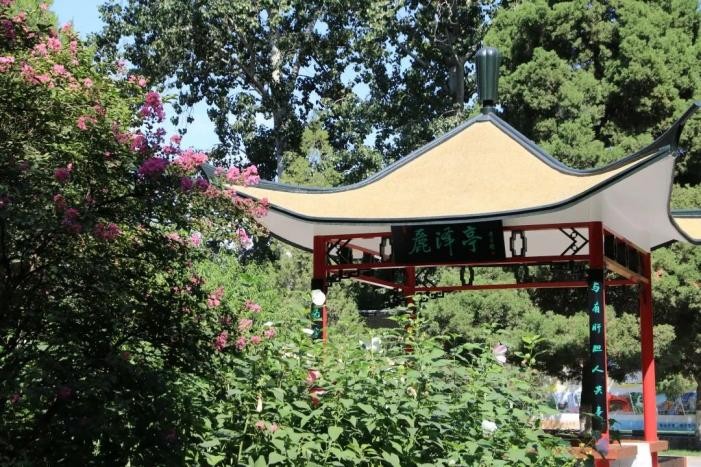 刚刚，北京高考分数线正式公布！附北京外国语大学近三年录取分数线！