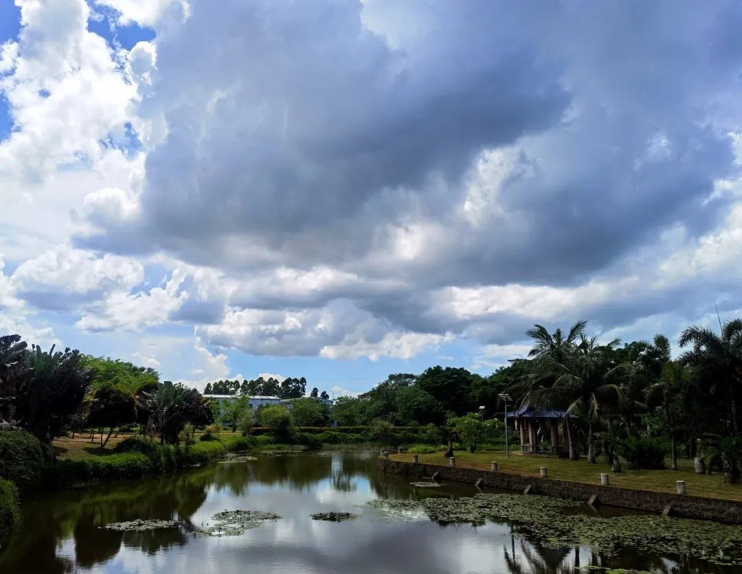 坐落于祖国最南端！这所高校承百年历史，风光秀美，实力强劲