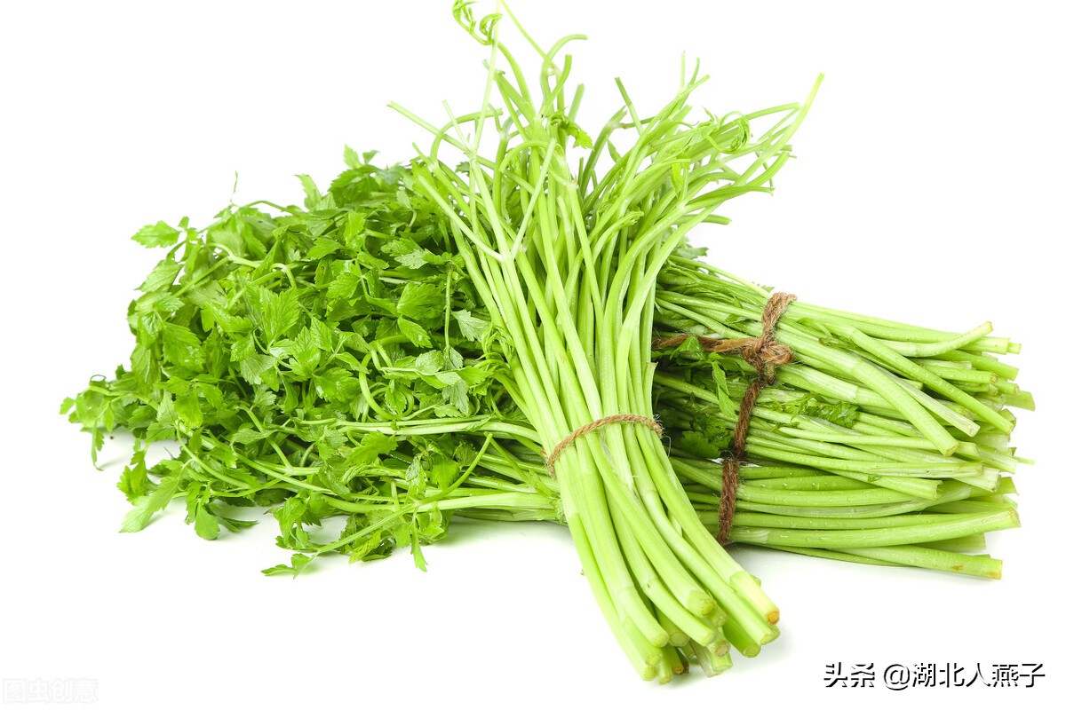 开春十大野菜图片（开春十大野菜图片高清）-第15张图片-科灵网