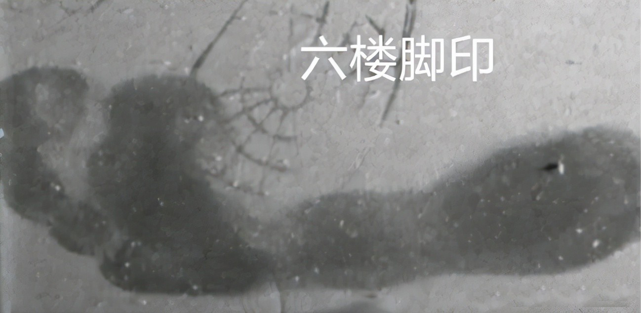 2011年，贺州一家四口被灭门，两枚脚印揭开凶手身份：死者亲妹妹