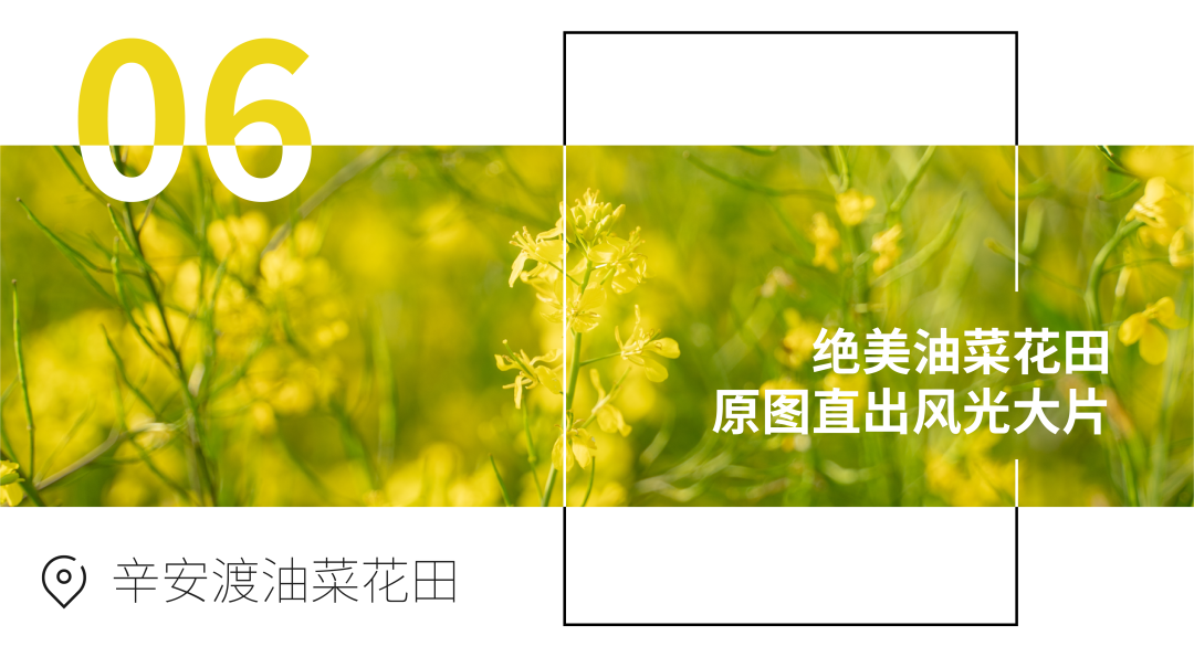 不出武汉！10个小众踏青地，在东西湖玩转春天