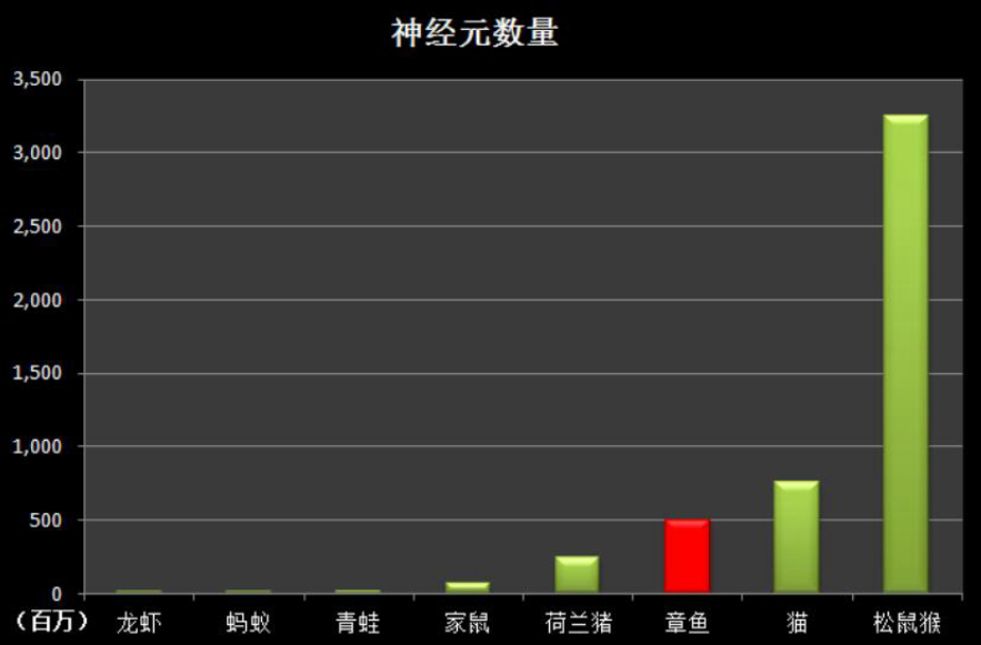 求章鱼保罗详细资料（章鱼为何没发展出文明？明明有9个大脑能编辑基因，智商还极高）