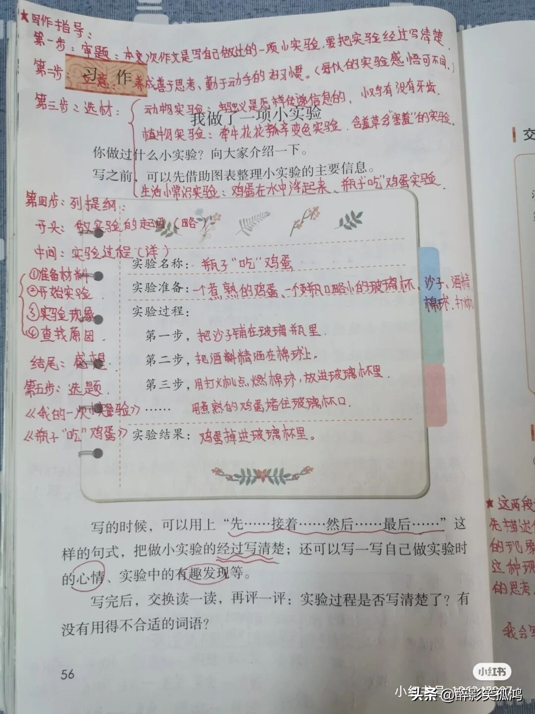 三年级语文下册第4单元课堂笔记，详细整理课文知识点