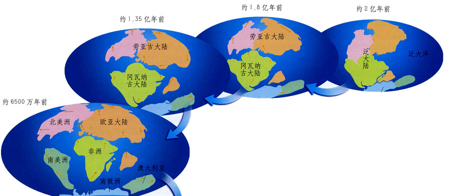 �ϼ������ڻ�����ѧ�ҷ���������Ķ����������ж����أ�