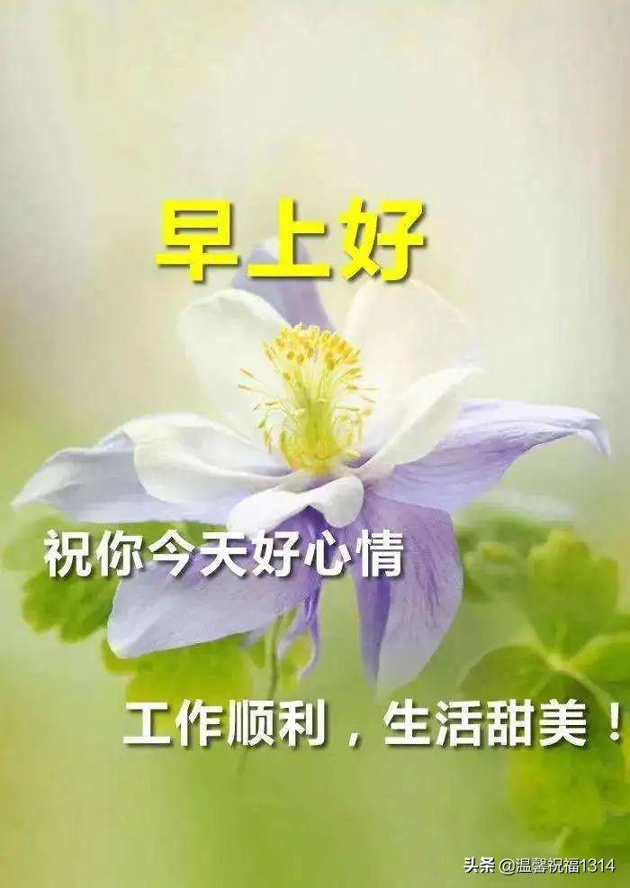 4月最新早安祝福温馨语句，星期三早晨暖心的问候语图片