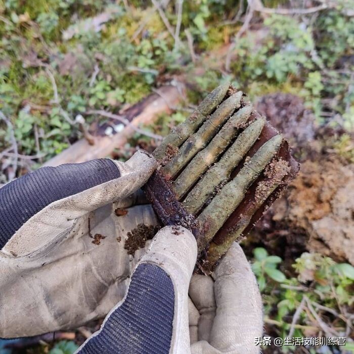 50位网友分享自己用金属探测仪找到的宝贝