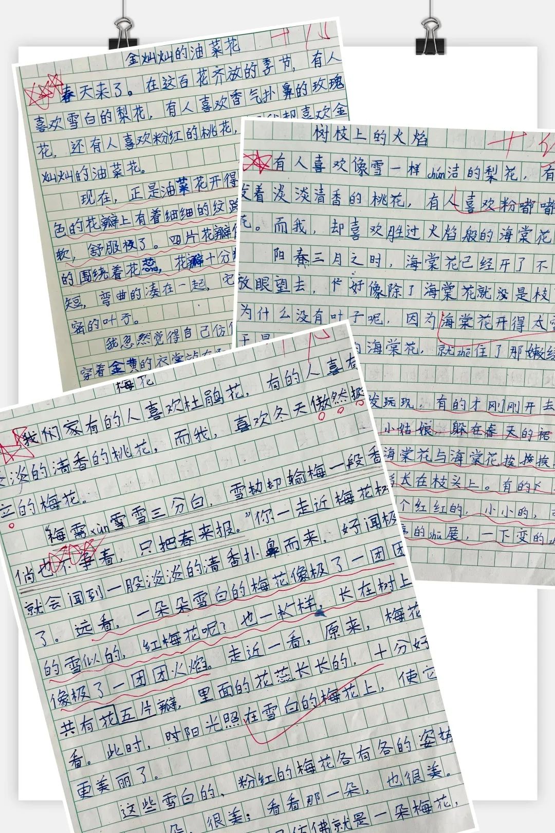 腹有诗书气自华，最是书香能致远｜走进双流区棠湖小学三年级八班