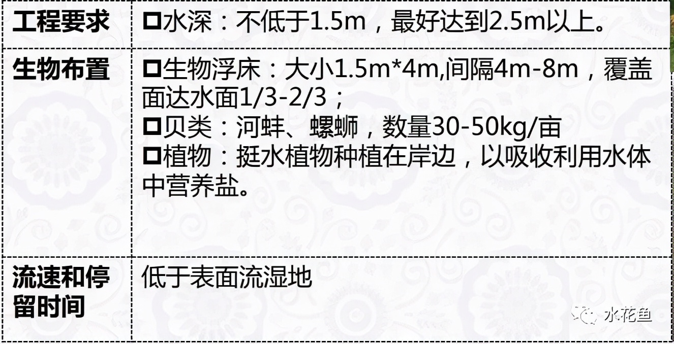 水产养殖尾水处理——多级人工湿地净水技术