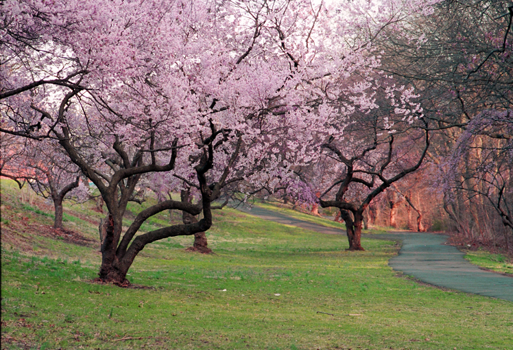 自驾北美——美国第二最小州：特拉华州