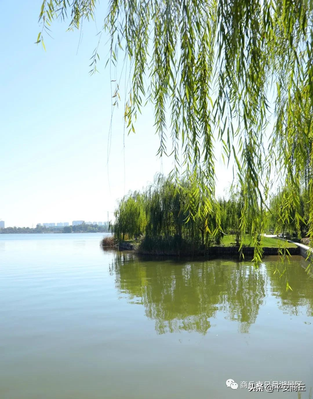 【商丘美景】红橙黄绿,赋予日月湖无限美好
