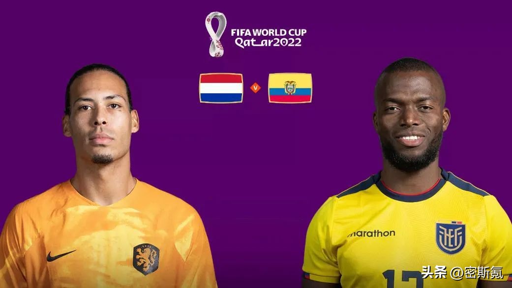 世界杯小组赛：荷兰VS厄瓜多尔/英格兰VS美国及比分预测