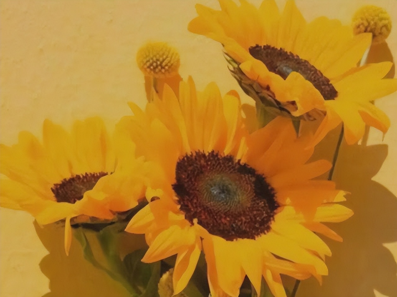 水瓶座在恋爱中的四个小心思？看似大大咧咧，实则很敏感，有温度