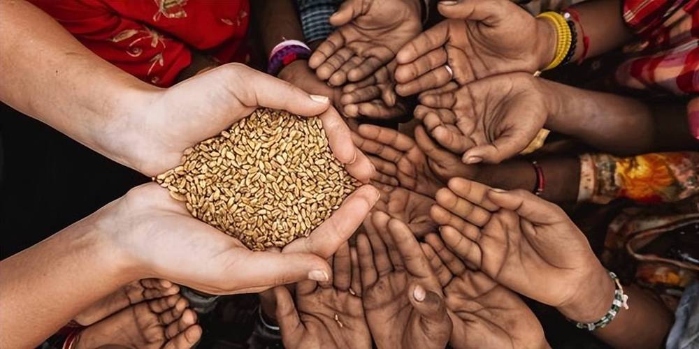 美國官員稱非洲數百萬人挨餓，施壓中國開倉放糧，以緩解糧食危機