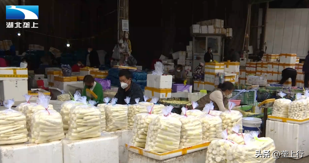 武汉市今日蔬菜价格，北京新发地今日最新蔬菜价