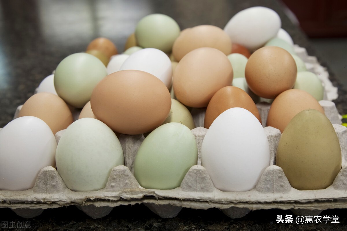 今日鸡蛋多少钱一斤？今年蛋价还会涨吗？附：鸡蛋最新行情预测