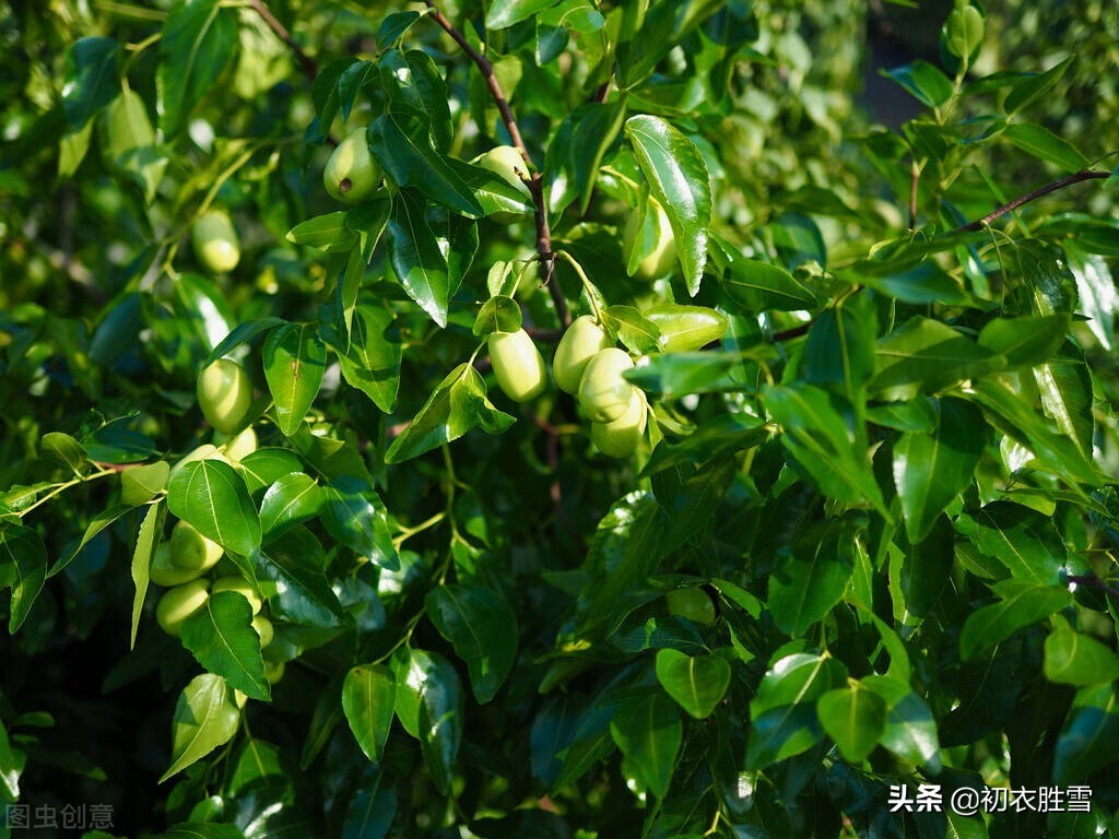 母亲节致敬母亲，诗经母亲古诗两首赏读：有子七人，母氏劳苦