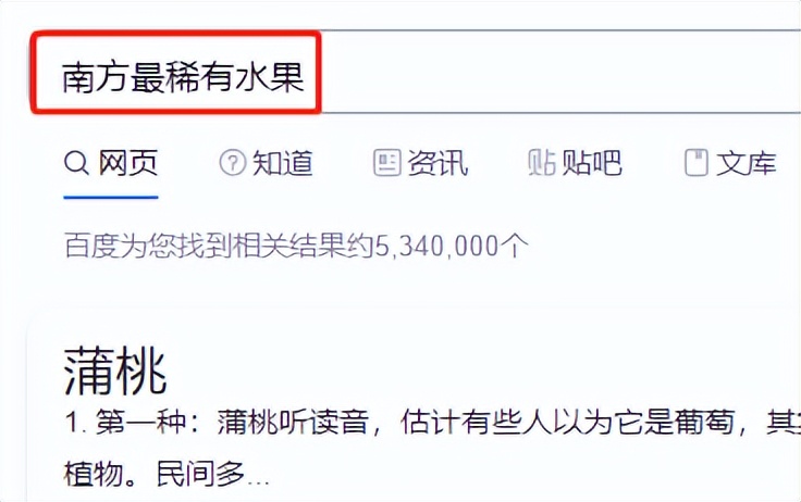 这种“稀有水果”最贵卖到800元/斤？！东莞通街都有