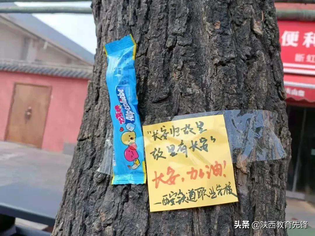 青春抗疫进行时 | 绽放战役青春 西安铁道职业学校 宿舍风采有我