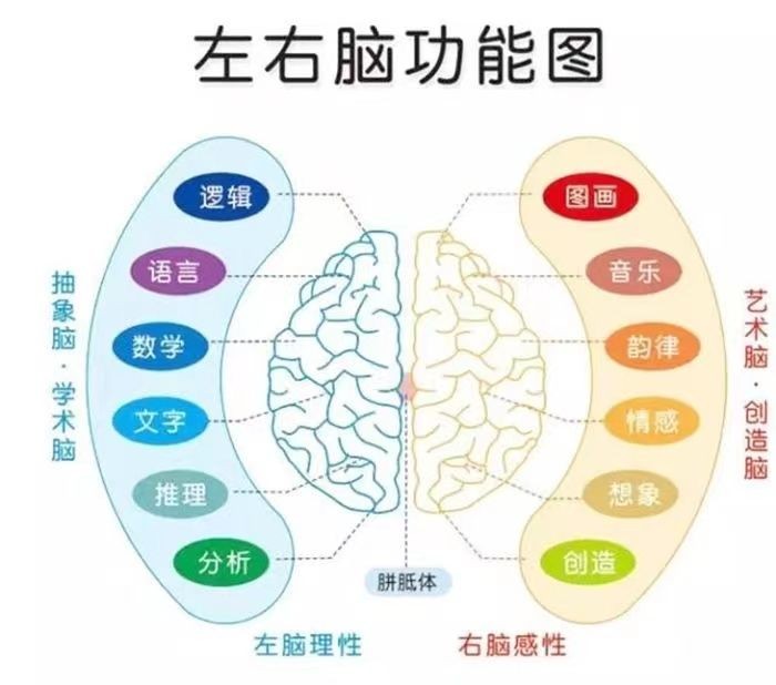 当孩子扔东西发脾气、打人哭闹，父母做法很关键：学会左右脑协调
