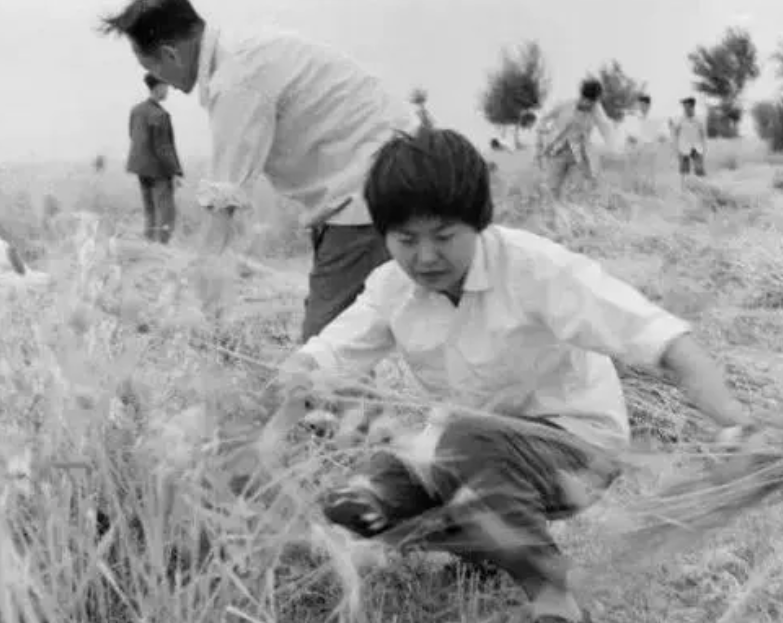 她是北大才女，却“抛下”丈夫，深居荒漠59年，82岁感动全中国