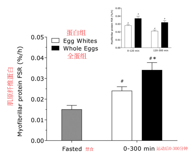 健身增肌，吃蛋白，还是全蛋？