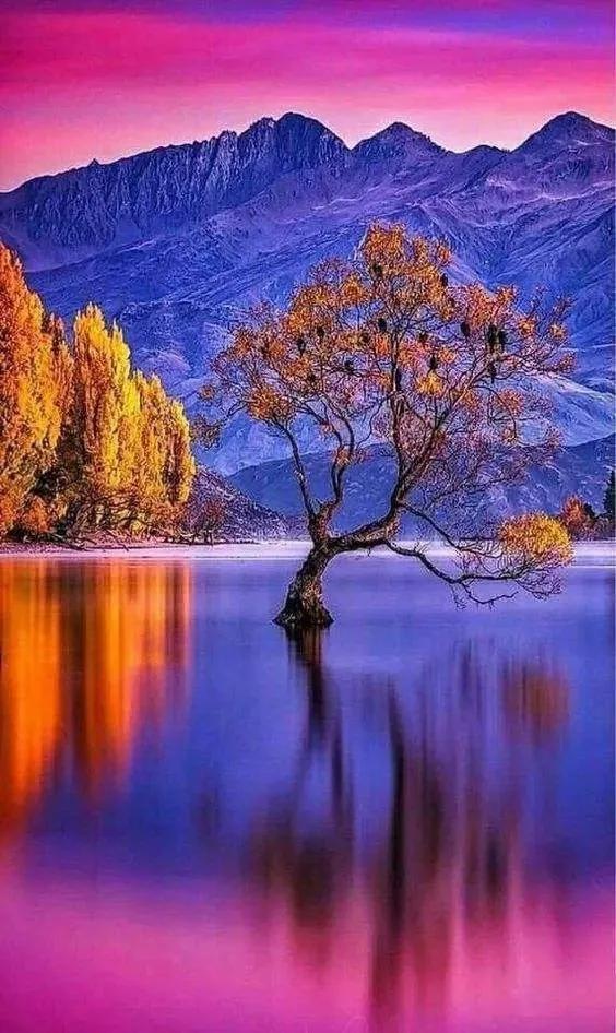 62幅大自然美景,如入仙境一般,令人心旷神怡