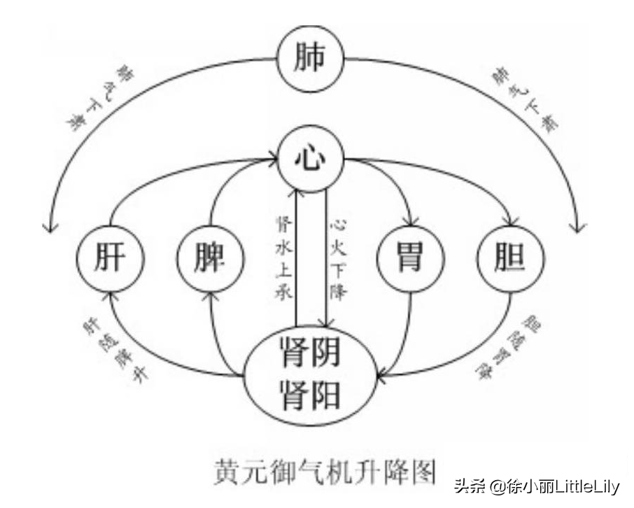 形象理解人体小宇宙运动