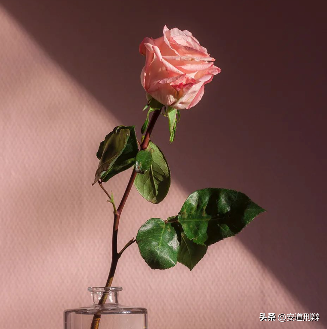 律师视角｜情人劫——分手后能否索要“分手费”“青春损失费”