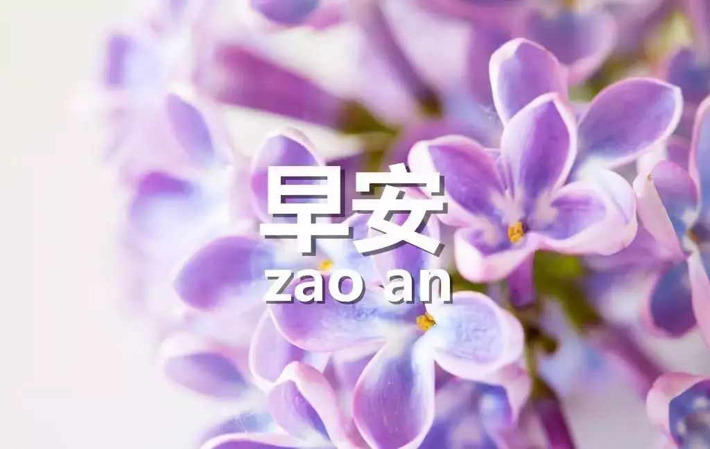 2022最新版朋友圈早上好祝福语录 祝你天天好心情 事事都如意