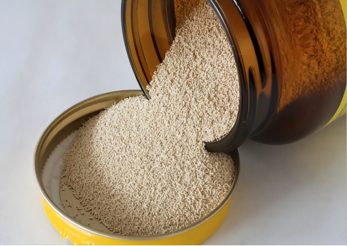 酵母还能不能用?一文说清楚