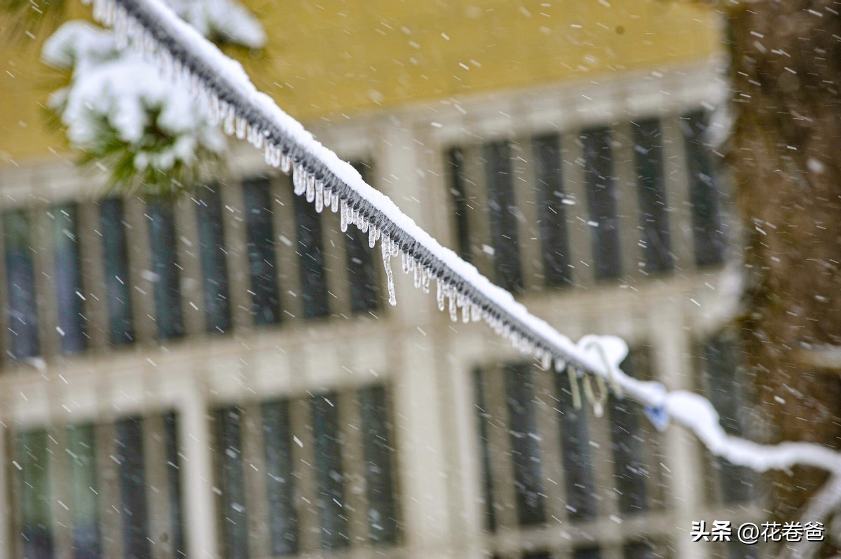 驾唐追逐2022年的第一场冬雪