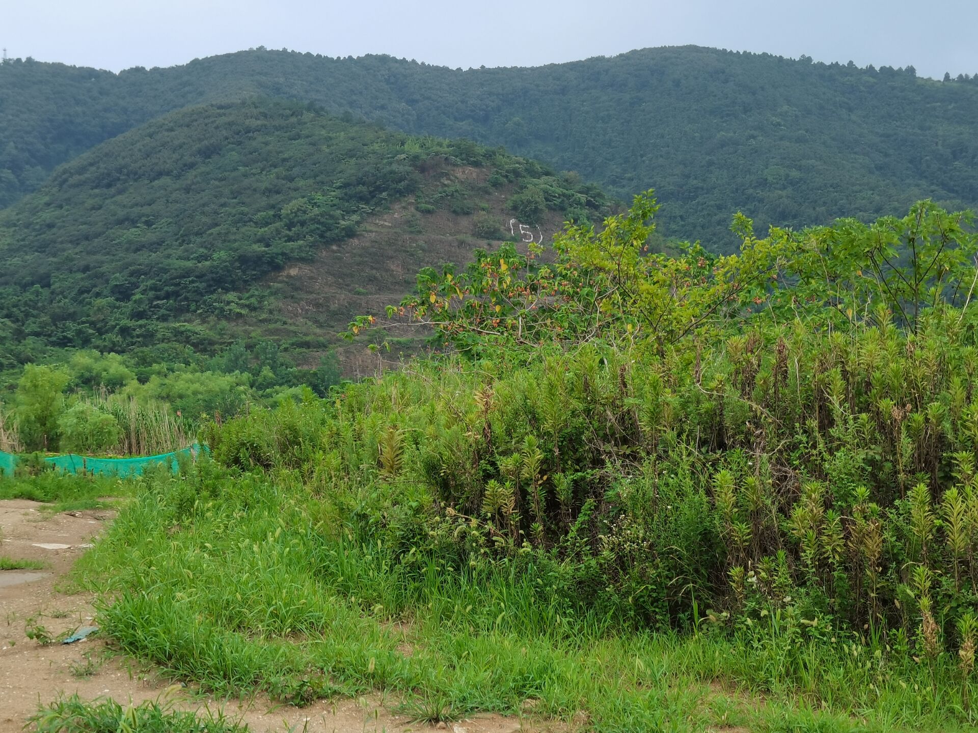 访古札记:钱元璙墓 访古札记:钱元璙墓