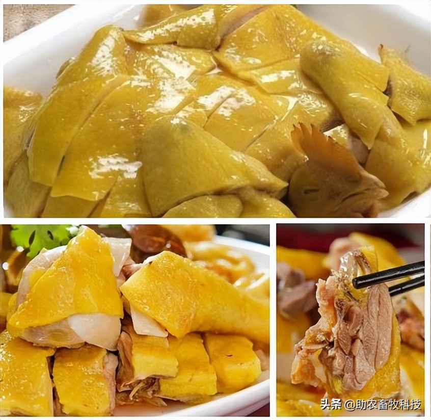 运用部分发酵饲料对养鸡有什么好处