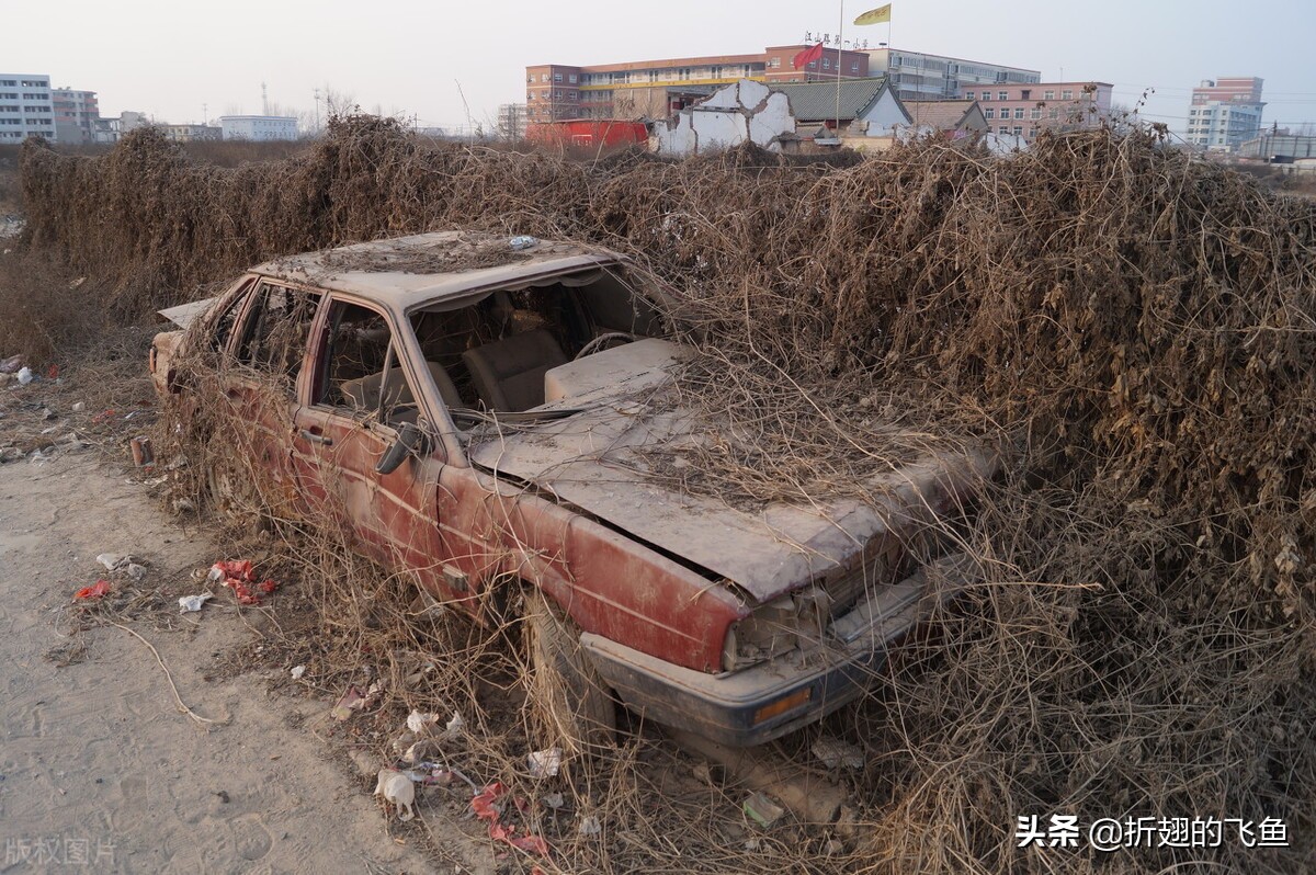 网飞《生化危机》改编电影上线，黑人威斯克引发热议