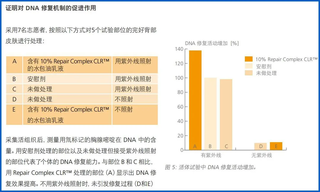 雅诗兰黛小棕瓶、娇韵诗双萃,这些大牌“平替”真的靠谱吗?