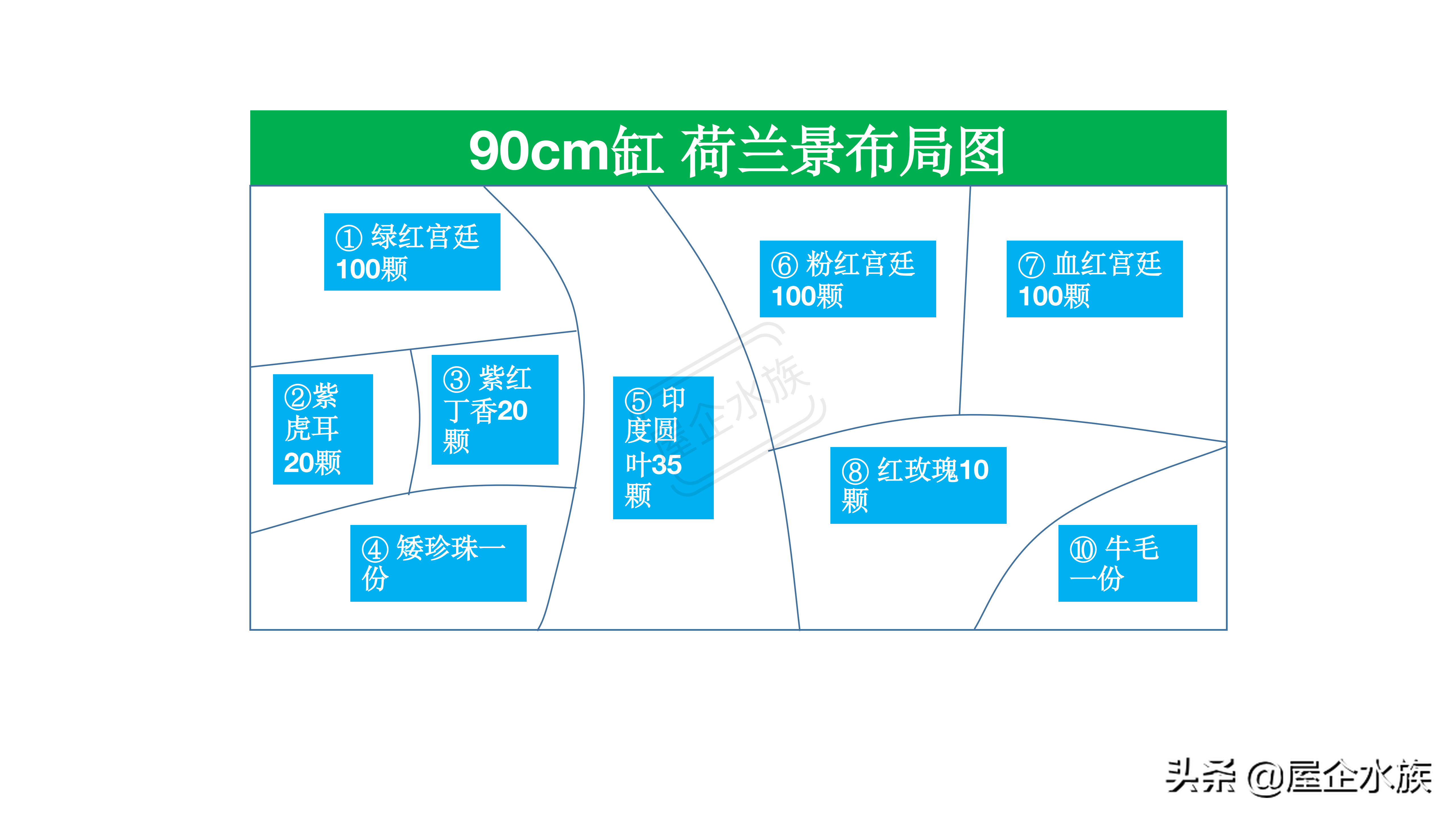 1米2荷兰缸(水草造景风格——荷兰式造景)