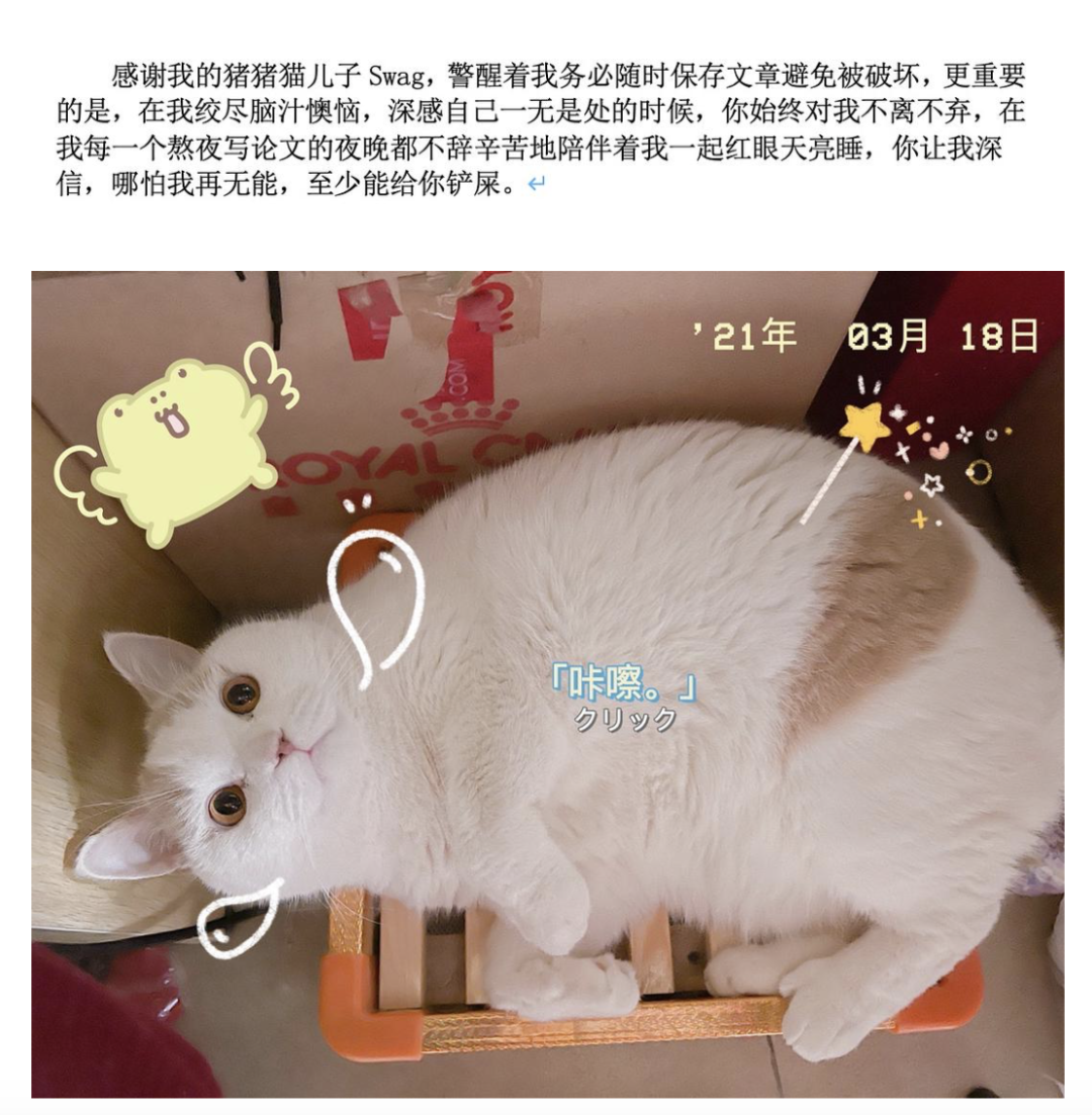 毕业论文致谢大盘点！这一届的论文致谢，我真的会谢