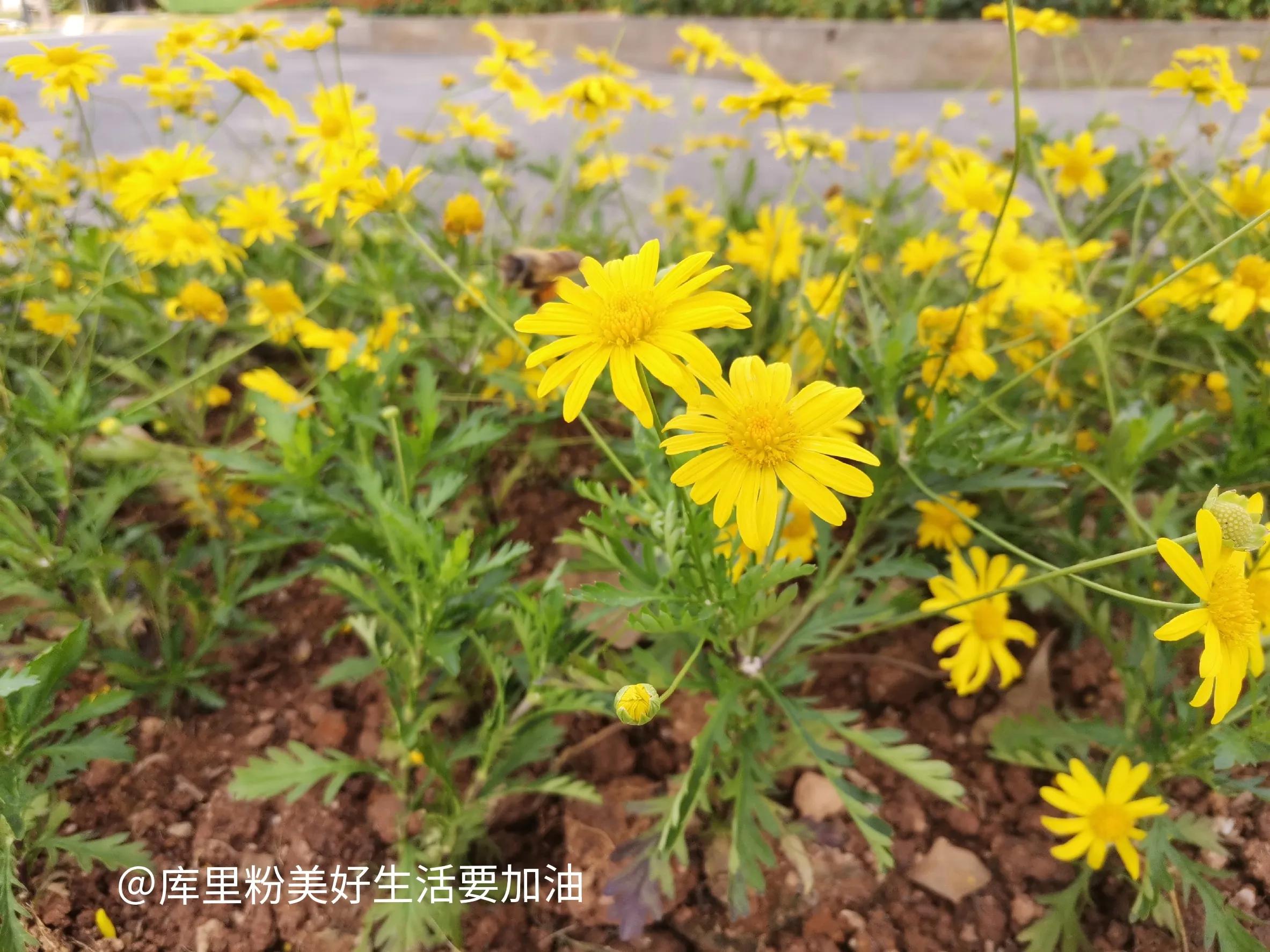 五个翻身的小生意