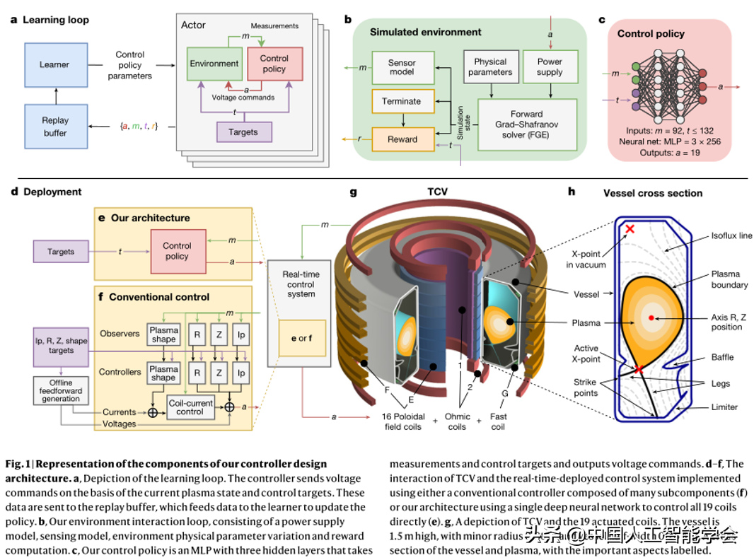 前沿丨前所未有：用AI控制核聚变，DeepMind再登Nature