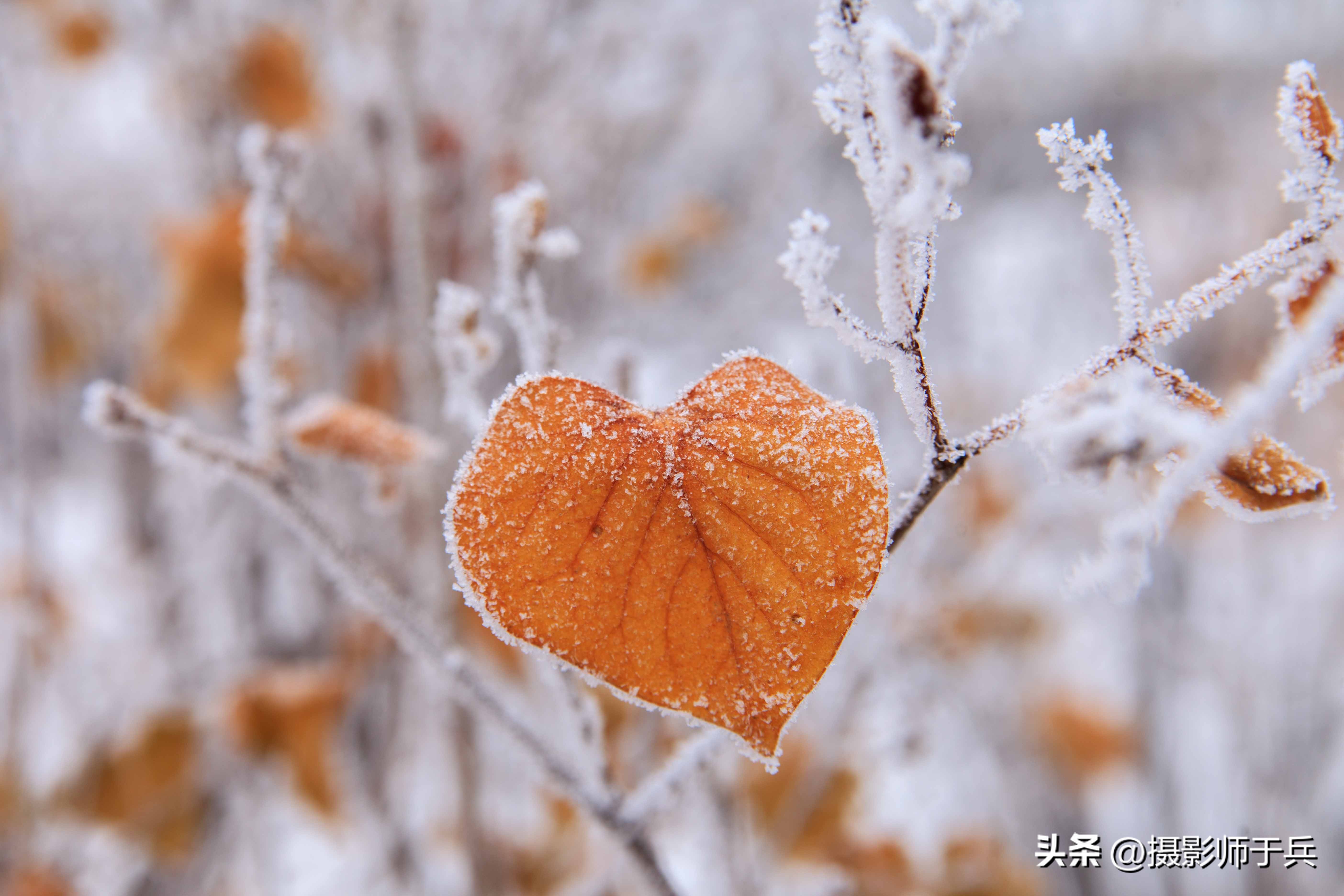 冬天下雪的句子短句唯美,雪的句子短句唯美