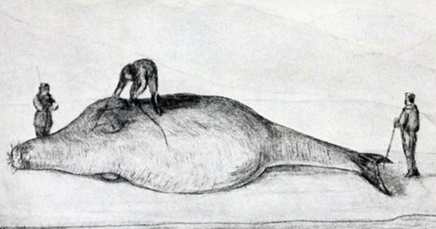 玉璧！就是五千年前大鱼档的“一元钱”？