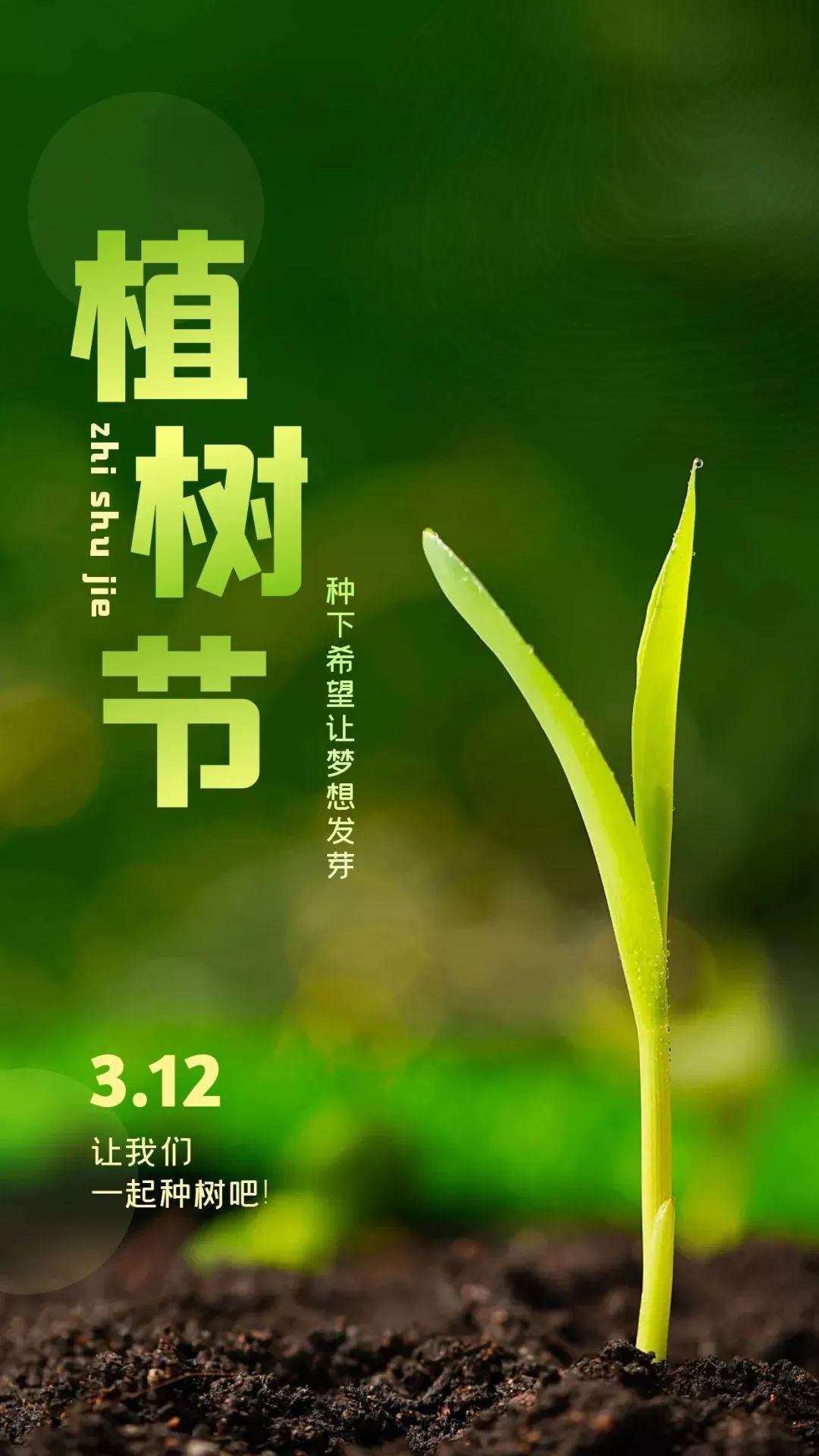 「2022.03.12」早安心语，正能量短句子，植树节唯美早安文案图片