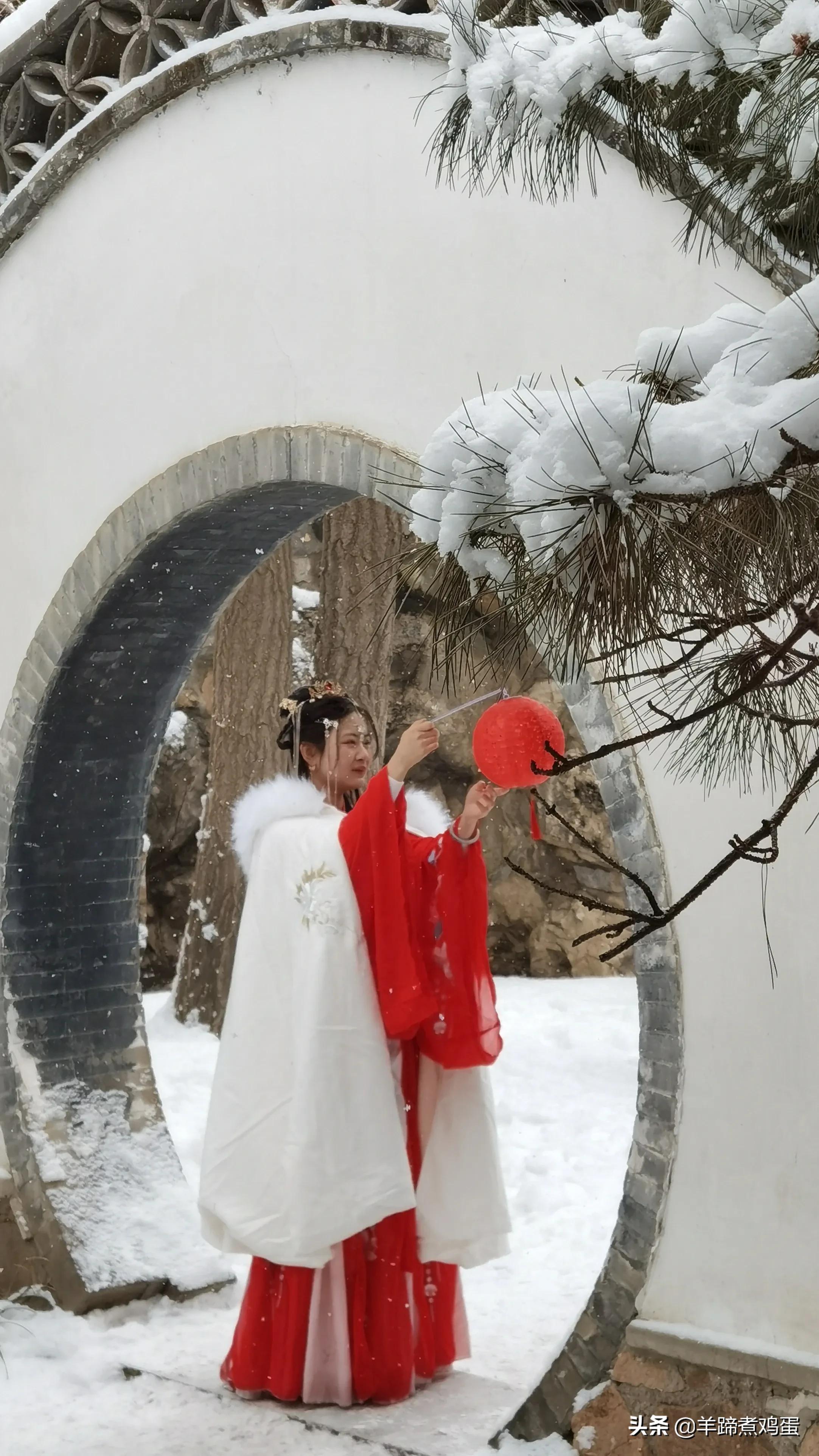 难览观园全画景雪覆腊梅一隅香——踏雪寻游北京大观园