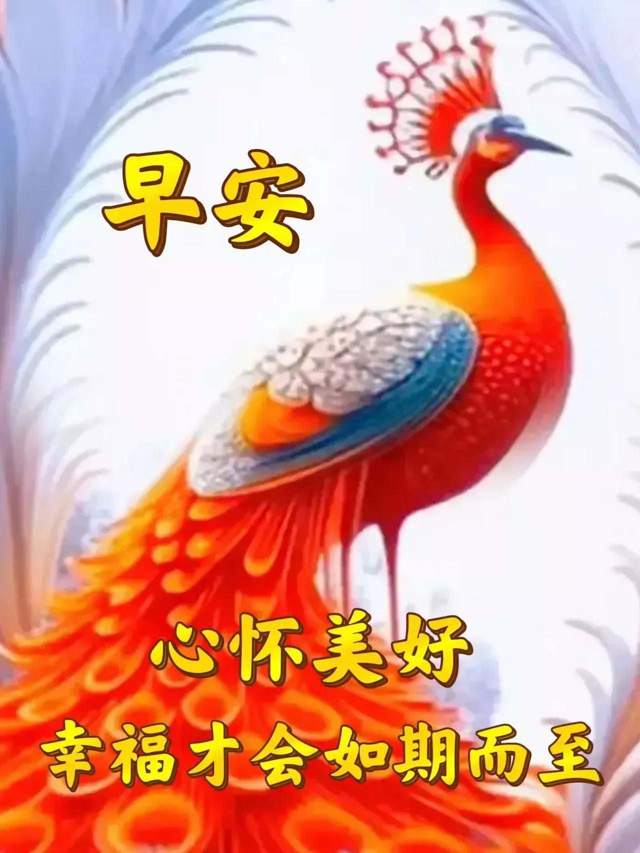 早安心语~阳光满面心情如花，笑在眉梢喜在心，怎么开心怎么生活